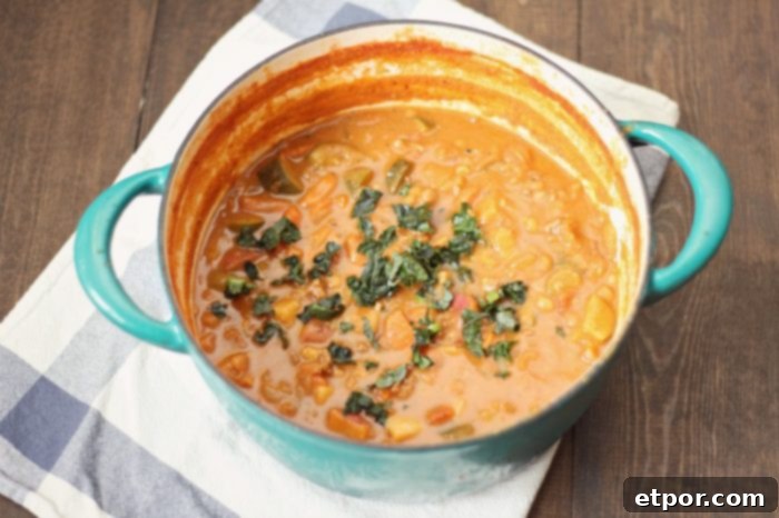 overhead photo of a pot of bean and beef stew topped with herbs on a white and blue towel