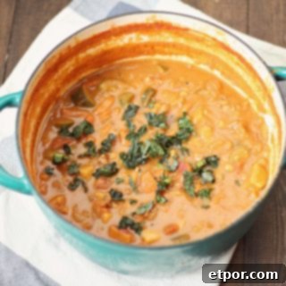 overhead photo of a pot of bean and beef stew topped with herbs on a white and blue towel