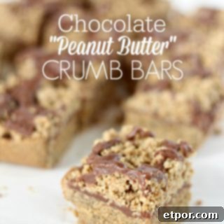Chocolate Sunflower Seed Butter Crumb Bars