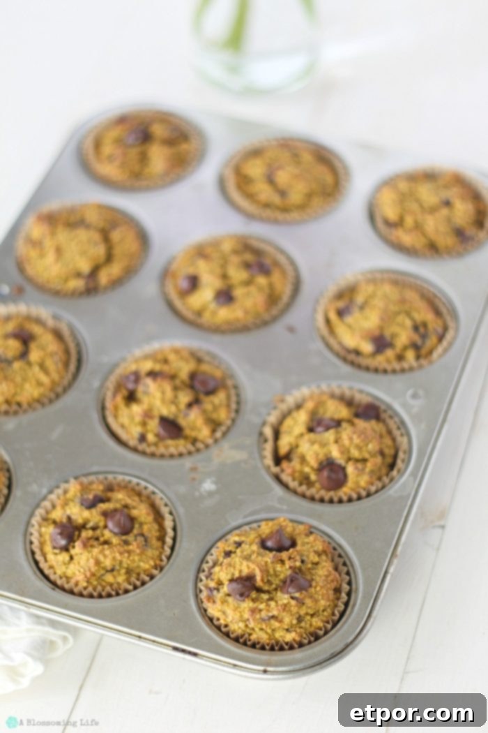 gluten free pumpkin muffins with chocolate chips in a muffin tin