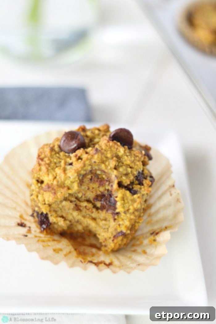 gluten free pumpkin muffin with a bite taken out