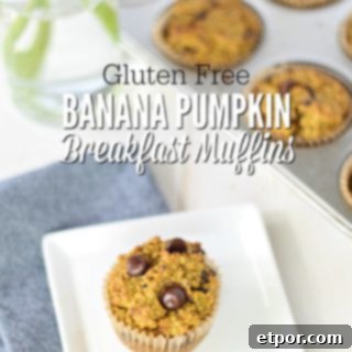 Gluten free pumpkin muffins with chocolate chips