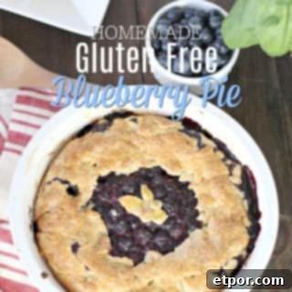 Homemade Gluten-Free Blueberry Pie