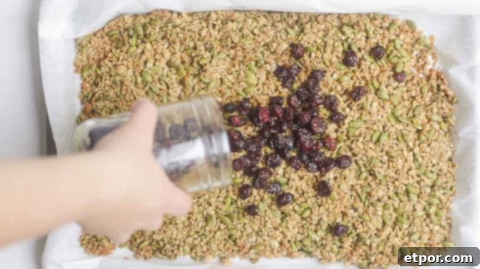 Irresistible Pumpkin Spice Granola 10 adding craisins to a sheet pan of pumpkin spice granola