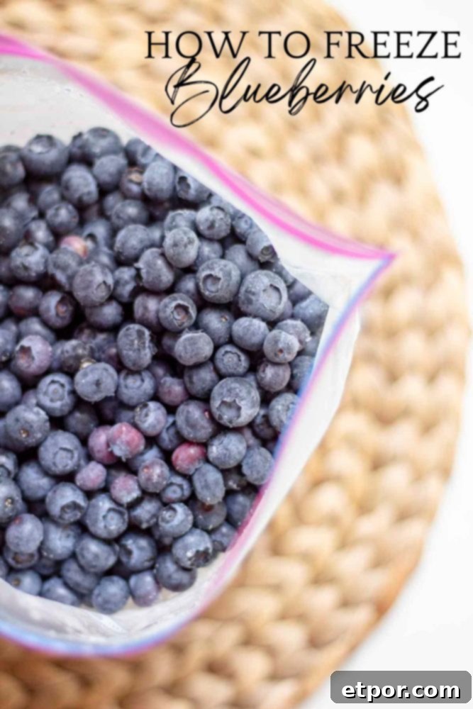 Freshly frozen blueberries stored in a clear freezer bag on a woven placemat, ready for long-term enjoyment.