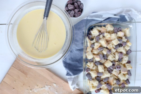 Bread and blackberries arranged in a baking dish, with a bowl of creamy custard and a whisk nearby