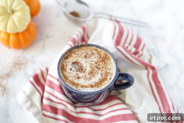 vegan pumpkin spice with a frothy top in a blue mug on top a tan and red stripped towel