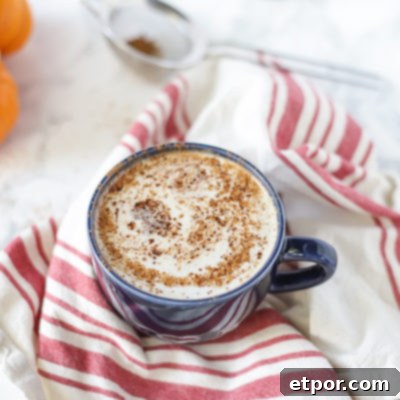 vegan pumpkin spice with a frothy top in a blue mug on top a tan and red stripped towel