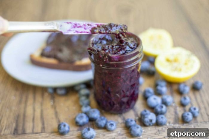knife scooping out blueberry jam out of a small mason jar. The jar is surrounded by blueberries, lemons, chia seeds, and a plate with toast