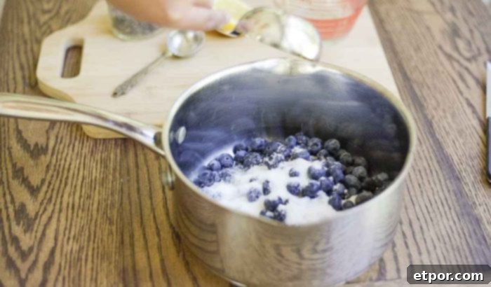 sugar being added to fresh blueberries in a saucepan 