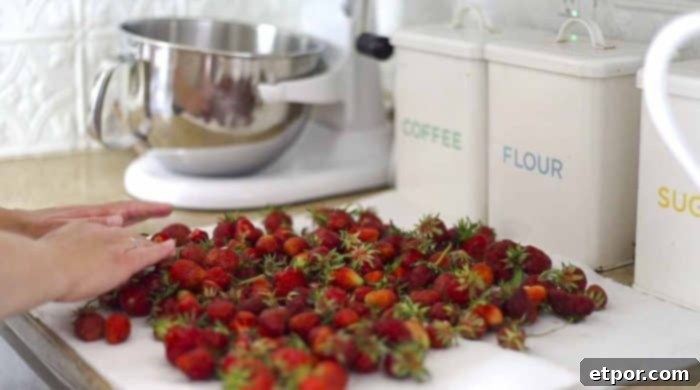 Freshly washed strawberries laid out in a single layer on paper towels on a countertop, air drying before preparation.