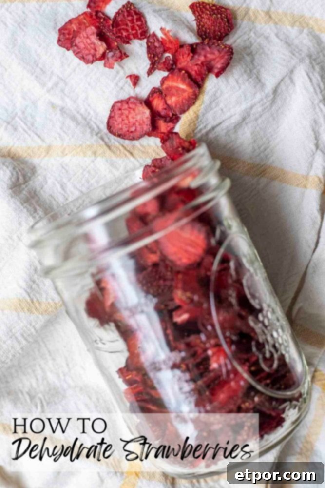 Mastering Homemade Dehydrated Strawberries 2 overhead photo of dried strawberries in a mason jar tipped over and sprinkled out on a white and yellow towel