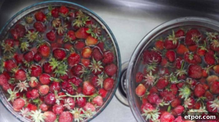Mastering Homemade Dehydrated Strawberries 5 soaking strawberries in two bowl with water and vinegar in a sink