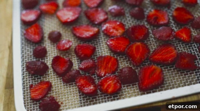 Mastering Homemade Dehydrated Strawberries 8 sliced strawberries organized on a dehydrator sheet