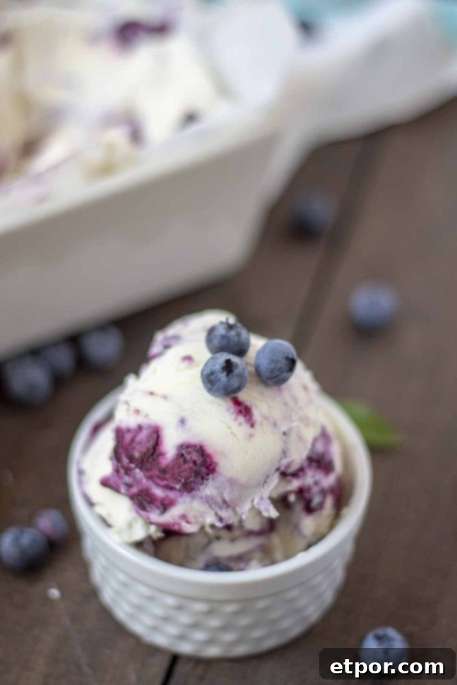 Velvety No-Churn Blueberry Cheesecake Ice Cream 3 Two generous scoops of homemade blueberry cheesecake ice cream, elegantly presented in a white dish, garnished with fresh blueberries. The dish sits on a rustic wooden table, with more blueberries scattered artfully around.