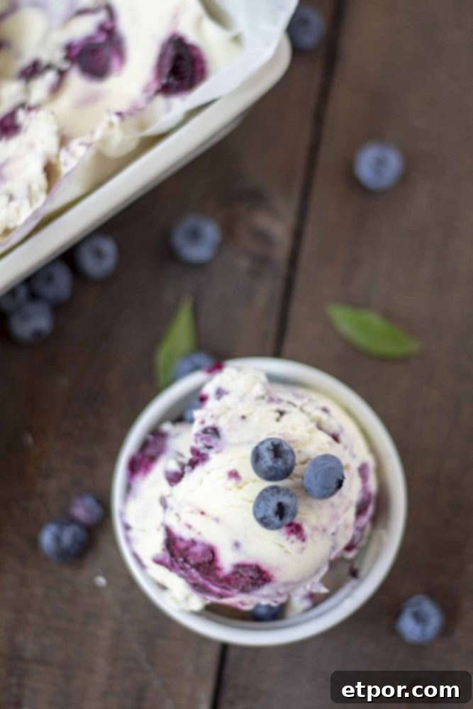 Velvety No-Churn Blueberry Cheesecake Ice Cream 10 An inviting overhead shot of two scoops of blueberry cheesecake ice cream in a white dish, adorned with fresh blueberries. More ice cream is visible in a pan in the softly blurred background, surrounded by scattered berries.