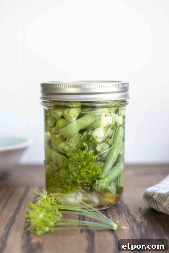 pickled green beans in a mason jar with a lid on a wood table. Fresh dill sits in front of the jar