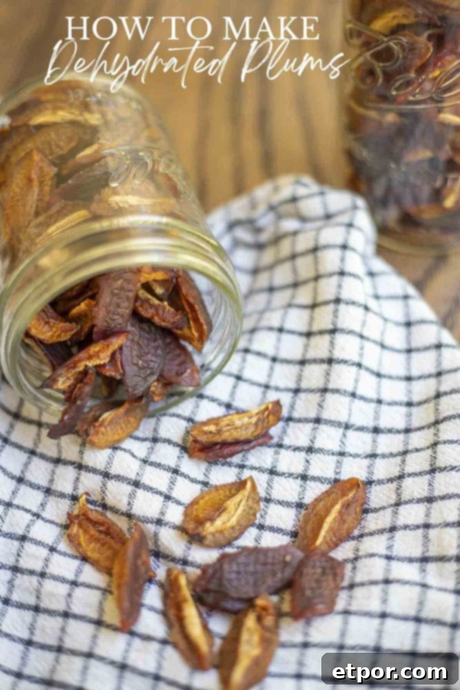 Fresh plums arranged on a dehydrator tray, ready for drying.