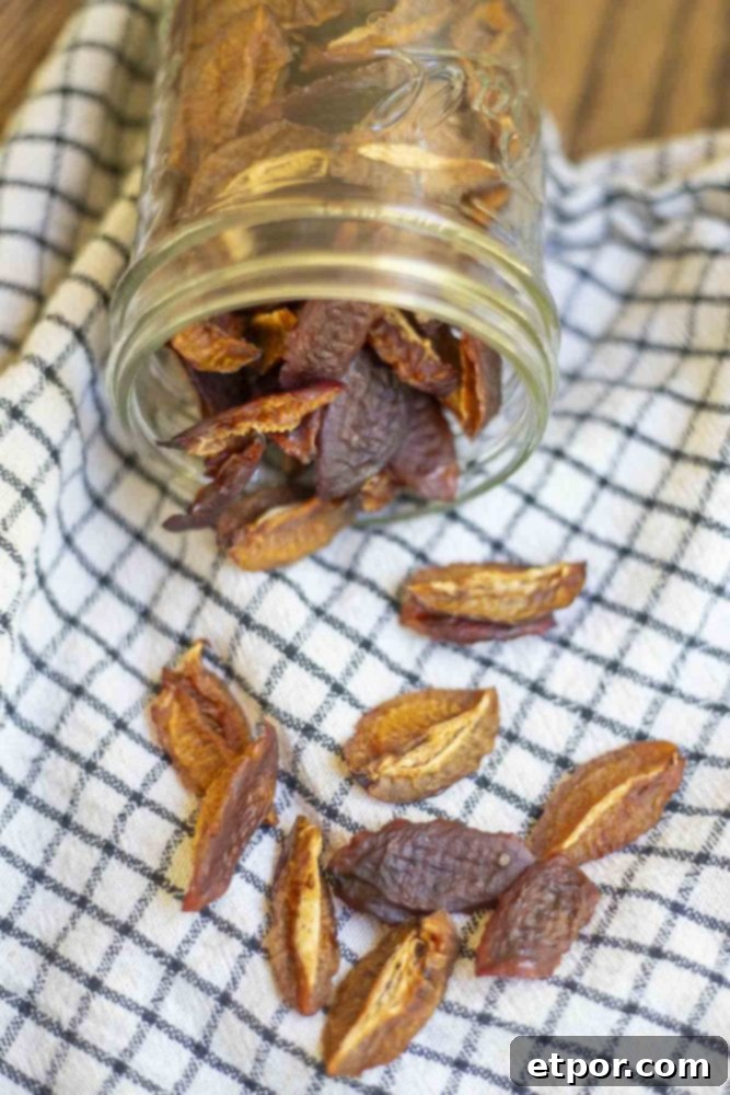A mason jar full of dried plums tipped over and spilling out onto a black and white towel.