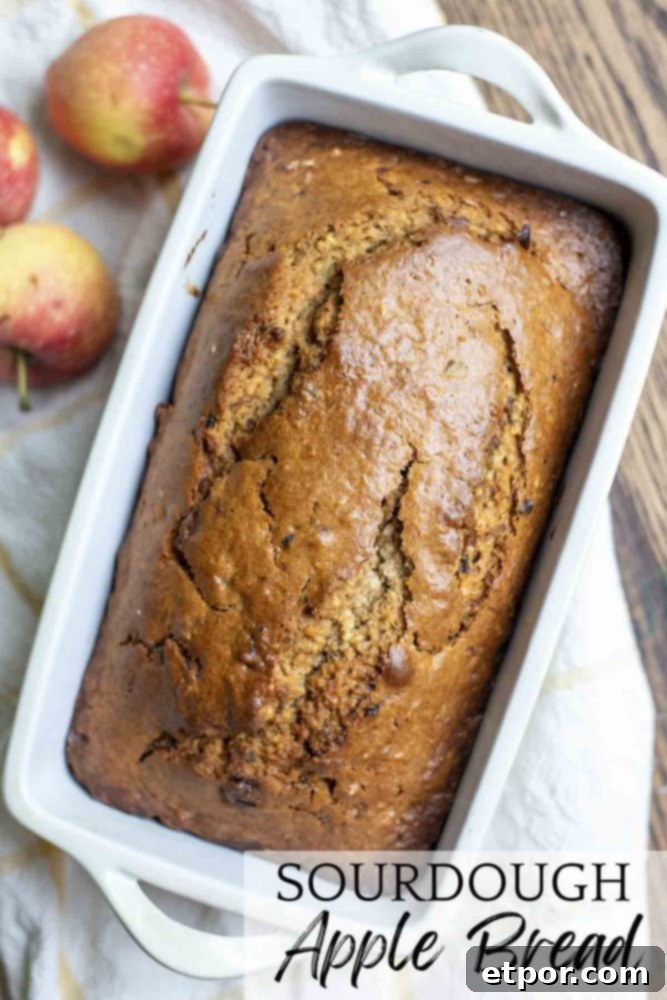 Overhead photo of a freshly baked sourdough cinnamon apple bread loaf on a white and yellow towel, with whole apples artfully arranged on top.