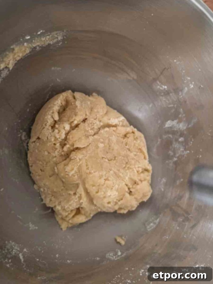 Sourdough starter, flour, sugar, and melted butter mixed together to form a rough dough ball in a stainless steel mixing bowl.