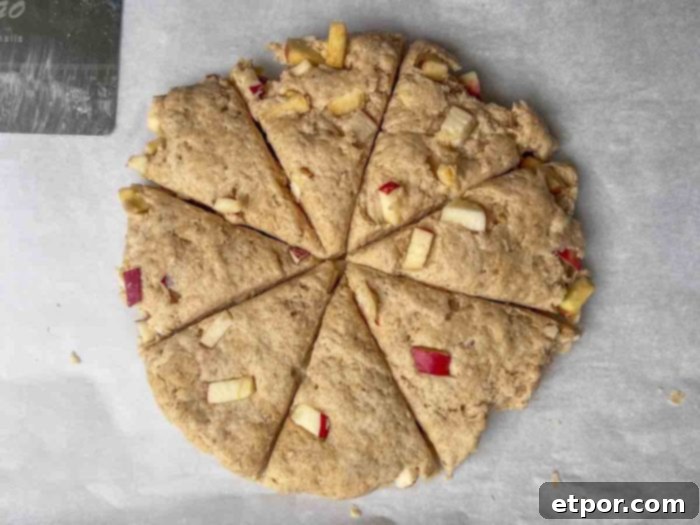 A round of sourdough scone dough, infused with apple, meticulously sliced into eight perfect wedges on parchment paper, ready to be transferred to a baking sheet.