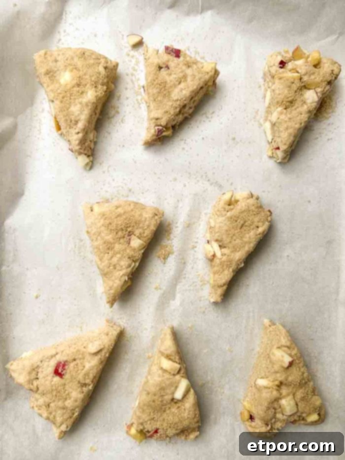 A close-up view of raw sourdough scones, neatly cut into wedges and arranged on a parchment-lined baking sheet, their tops brushed and ready for baking.
