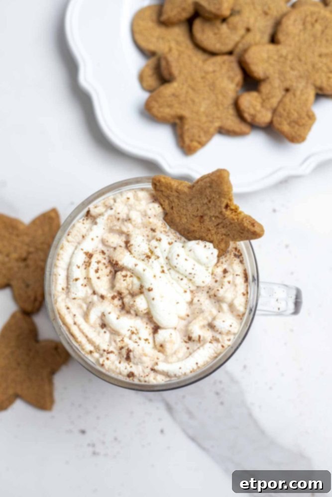 overhead photo of a gingerbread hot chocolate topped with whipped cream, cinnamon and a star shaped cookies. More cookies surround the mug on the countertop and on a plate in the background