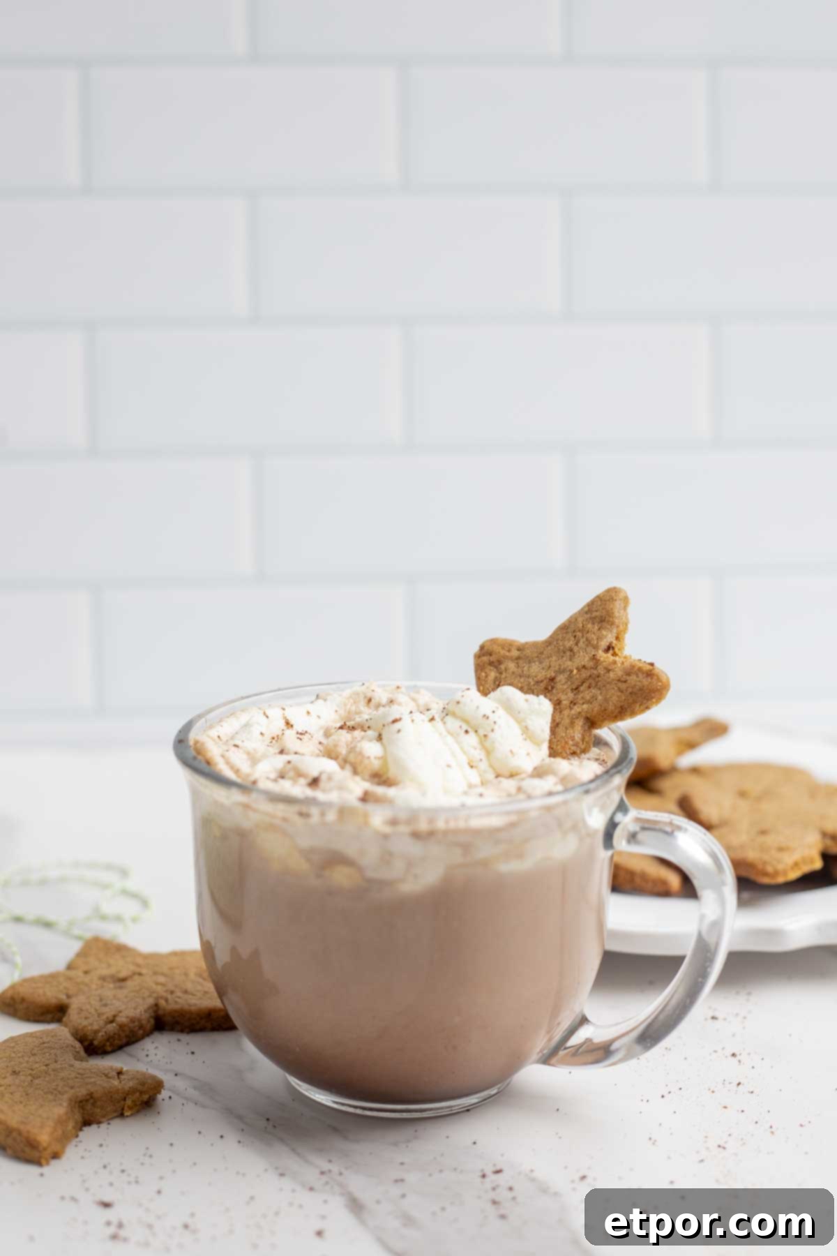 glass mug of gingerbread hot chocolate topped with whipped cream, cinnamon, and a star shaped cookie. The mug sits on a marble counter surrounded by gingerbread cookies.