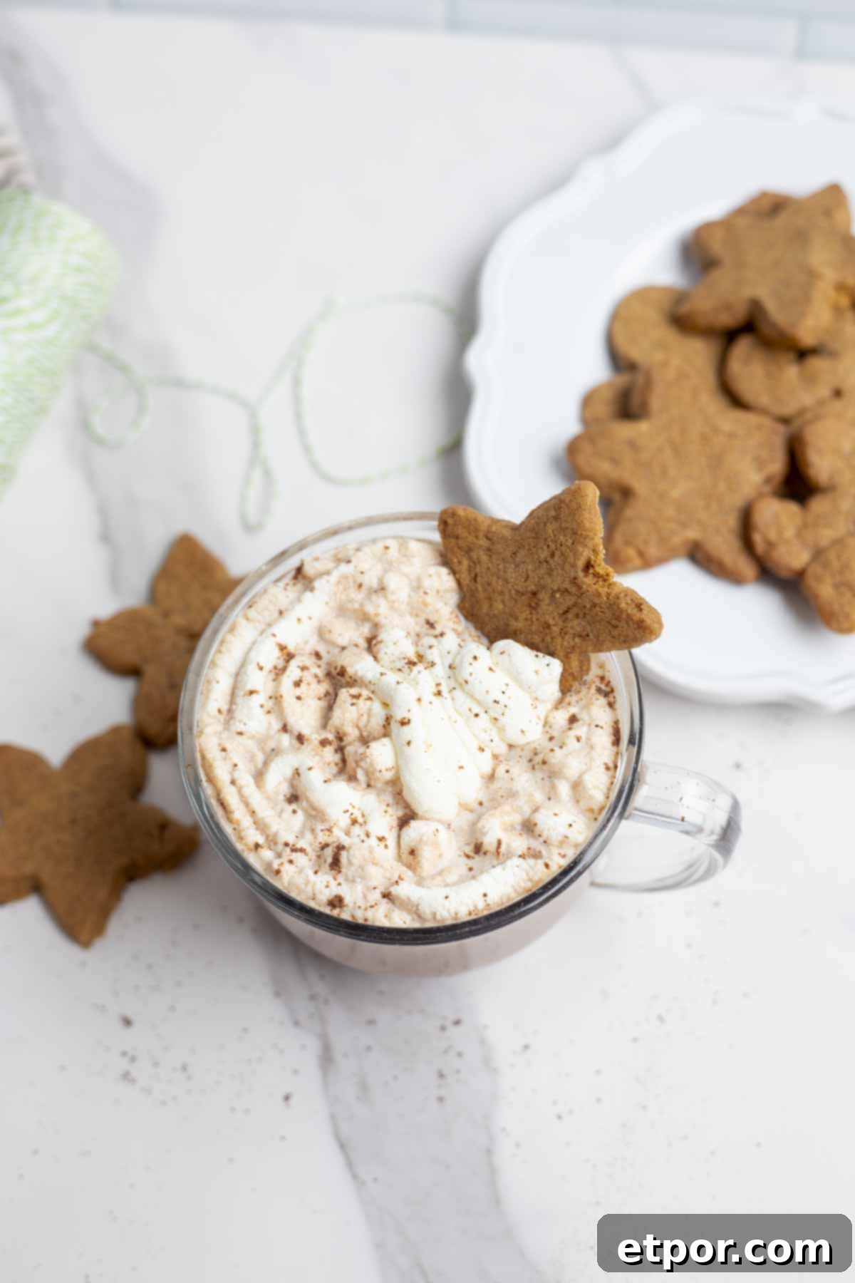whipped cream topped gingerbread hot cocoa with a cookie peaking out. The mug is on a marble countertop with two star shaped cookies and green and white string near the mug