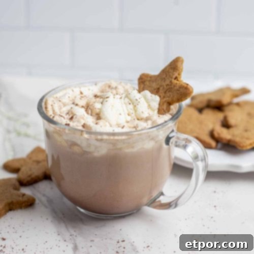 side view of a glass mug of gingerbread hot cocoa topped with whipped cream, cinnamon and a star shaped gingerbread cookie on a marble countertop. The mug is surrounded by cookies, green and white string and a plate of cookies in the background