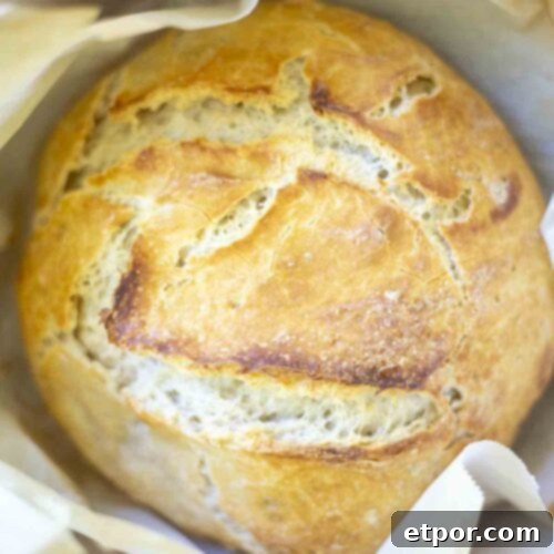 loaf of sourdough bread in a parchment lined dutch oven