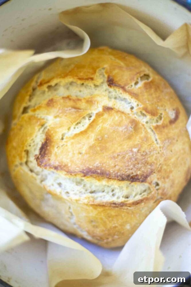 loaf of sourdough bread in a parchment lined dutch oven
