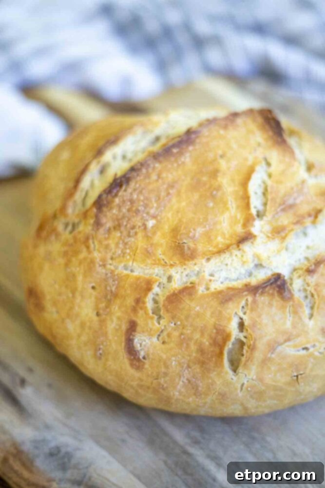 close up picture of a loaf of crusty sourdough discard bread on a wood cutting board with a plaid towel in the background