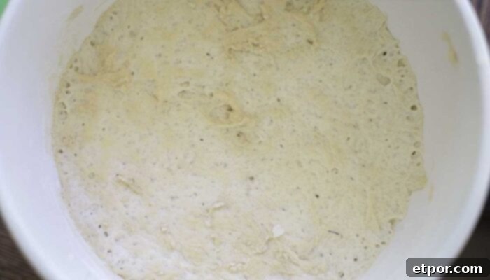 bread dough after the first proof