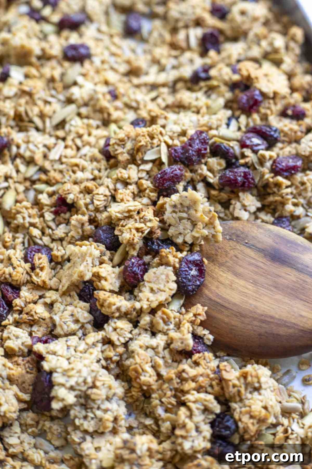 Close up picture of sourdough granola with craisins, pumpkin seeds and sunflower seeds on a baking sheet with a wooden spoon.