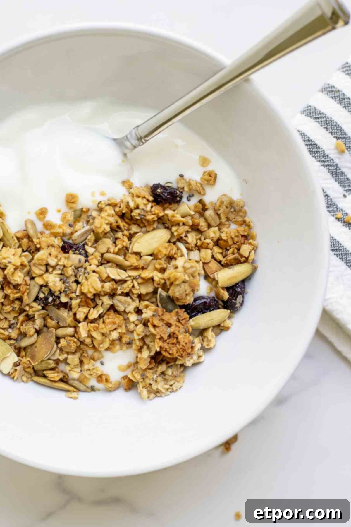 overhead photo of a bowl of yogurt topped with sourdough granola with sunflower seeds, pumpkin seeds, and dried cranberries on a marble countertop.