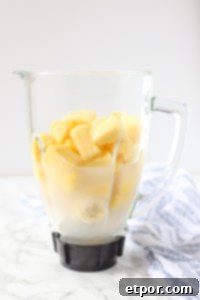 Guilt-Free Tropical Pina Colada Delight 6 pina colada smoothie ingredients in a blender pitcher about to be blended