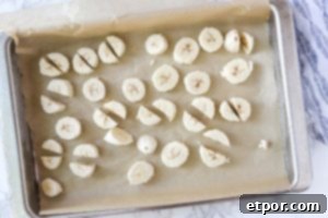 Chocolate Peanut Butter Banana Dream Freeze 11 frozen banana chopped and on a parchment lined baking sheet