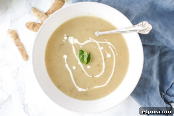Wholesome Potato Leek Soup Vegan Friendly 3 An overhead shot of a pristine white bowl generously filled with potato leek soup, exquisitely garnished with a delicate drizzle of heavy cream and a single, vibrant basil leaf placed perfectly in the center.