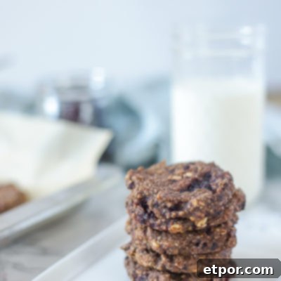 5 blackberry protein cookies stacked on a white plate with blackberries in front of the black and a glass of milk behind it