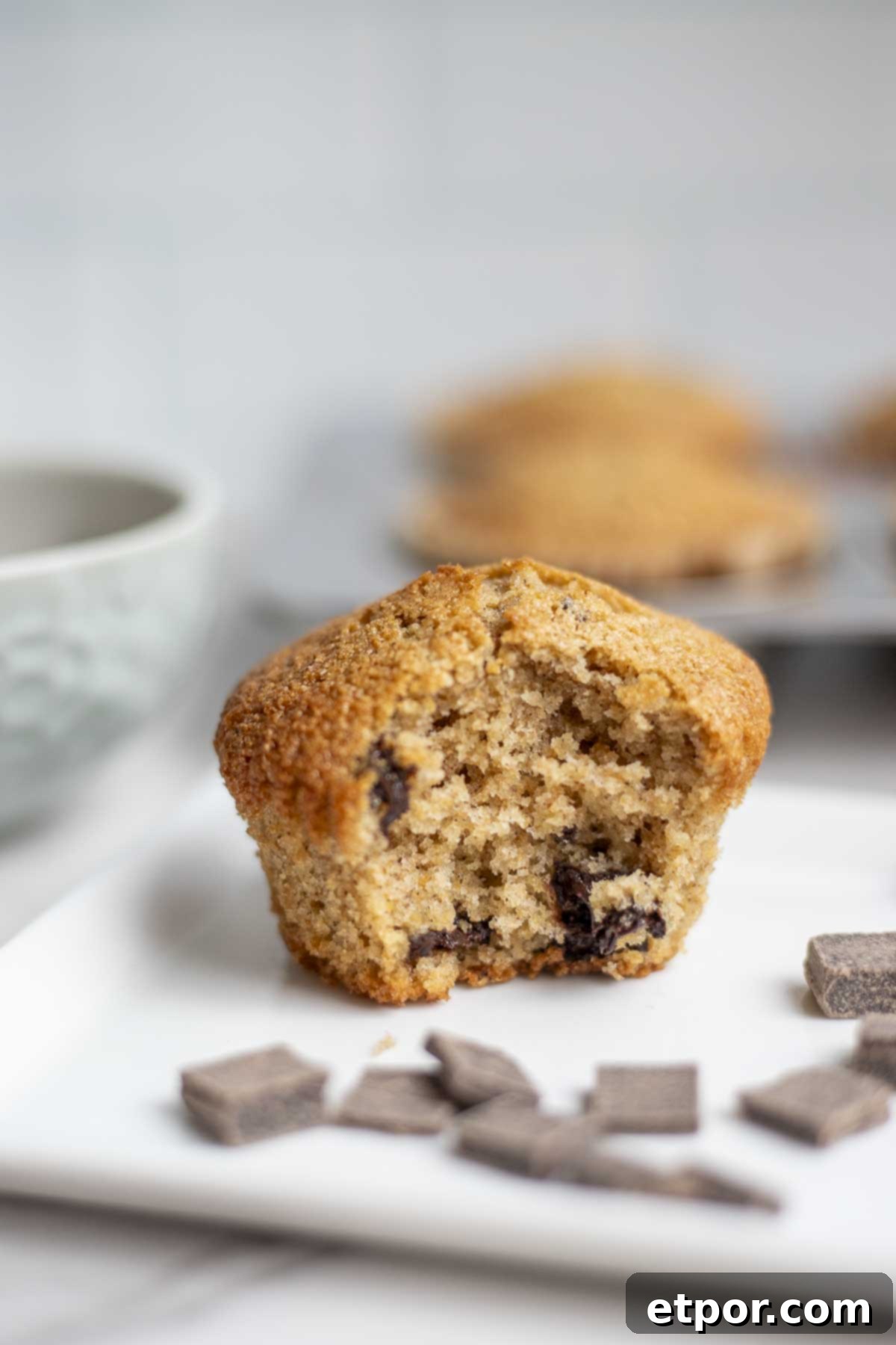 Artisan Chocolate Chunk Muffins with Whole Grain Sourdough 2 Whole wheat sourdough chocolate chip muffins with a bite taken out on a plate with chocolate chips surrounding the muffin.