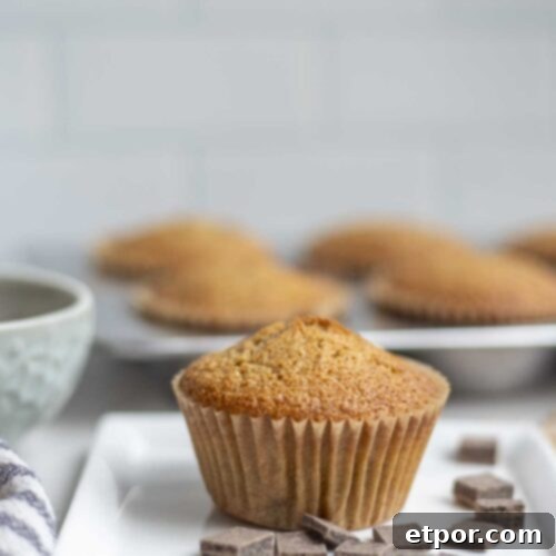 Artisan Chocolate Chunk Muffins with Whole Grain Sourdough 10 Whole wheat sourdough chocolate chip muffin on a plate surrounded by chocolate chips with more muffins in the background.