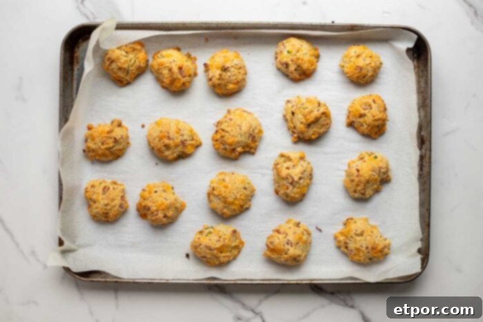 Baked ham and cheese breakfast biscuits on a parchment lined baking sheet.